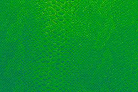 background texture of bright emerald green snake skin