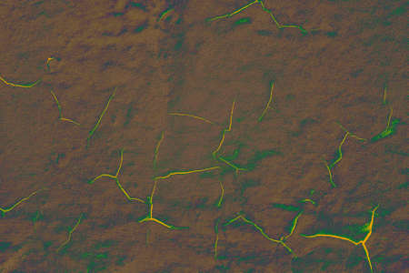 cracked paint on the wall. abstract background texture