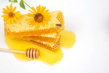 Fresh flower honey in combs and a wooden spoon. vitamin food for health and lifeの写真素材