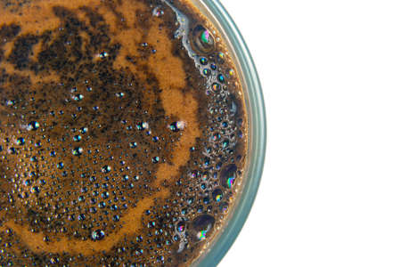 freshly brewed coffee in a Cup on white background closeupの写真素材