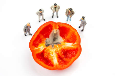 miniature people stand near a rotten pepper on a white background. people and foodの写真素材