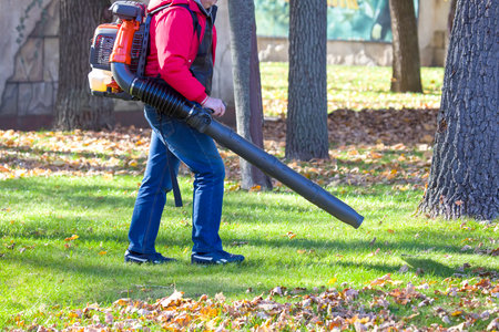 Leaf blower Male worker removes leaves lawn of garden autumn. Removing fallen leaves in autumn. Park cleaning serviceの写真素材