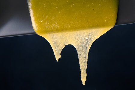 Fresh flower honey flows down from the plate. vitamin organic foodの写真素材