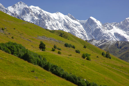 landscape of green grass and snowy mountains. Trekking and travel in Georgiaの写真素材