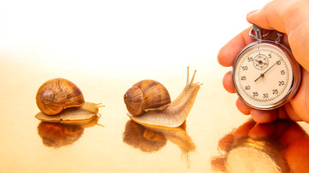 Snail and stopwatch in hand on a golden background. Speed ââconcept. Measuring time at a distance. Finish in sports competitions. Deadline at workの写真素材
