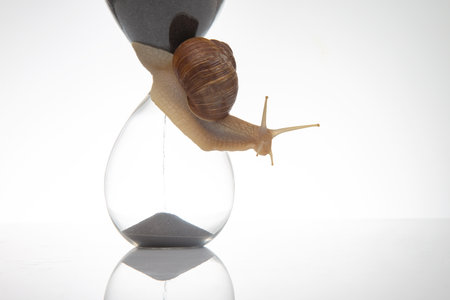Snail and hourglass on a white background. The concept of slow time. Speed â€‹â€‹of time...