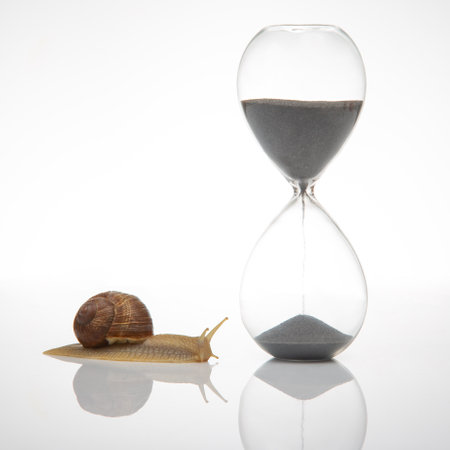 Snail and hourglass on a white background. The concept of slow time. Speed â€‹â€‹of time...