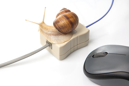 The concept of slow internet and working with a computer. Snail on the background of Internet wires and a computer mouseの写真素材