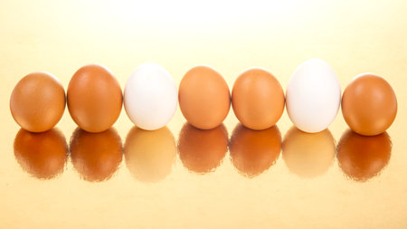 White and brown eggs lined up on a shiny golden background, reflecting their smooth textures in a minimalist and elegant food still life setup.の写真素材
