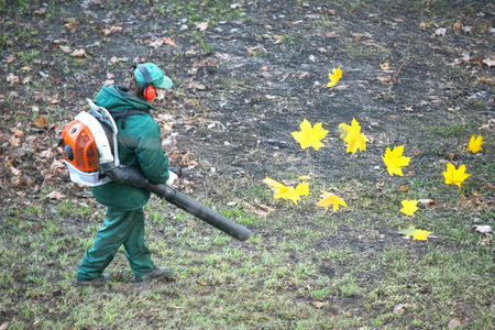 worker in the Park cleans the grass from fallen leaves with the help of a blowerの写真素材