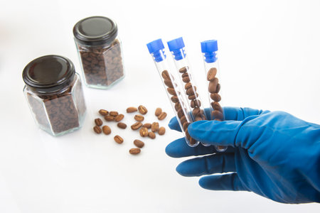 Coffee beans are meticulously studied in a laboratory setting, with test tubes held by a gloved...