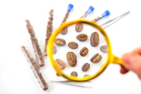 Examining roasted coffee beans in a research lab â€“ A magnifying glass highlights coffee...
