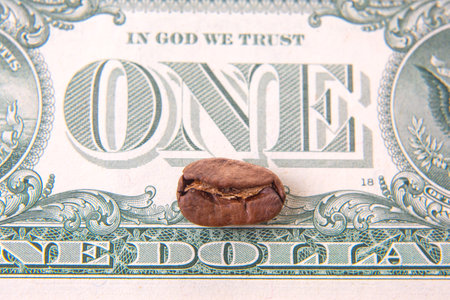cracked coffee bean sits atop a US one-dollar bill, blending natural brown hues with the green...