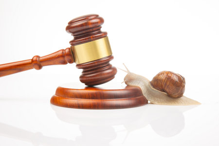 Snail and gavel of justice on a white background. The concept of slow adoption of laws and judicial decision. law and law in societyの写真素材