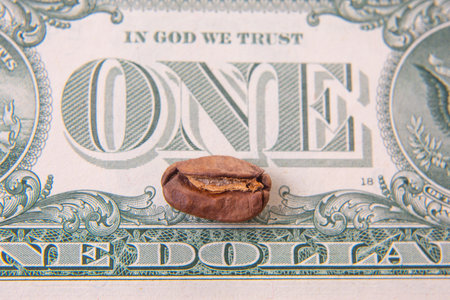Close-up of a split coffee bean on a one-dollar bill, merging the rustic charm of agriculture with the precision of currency. The green and brown tones create a striking visualの写真素材