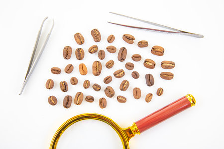 Close-up of a vintage-style magnifying glass next to scattered coffee beans on a clean white surface, symbolizing quality inspection and attention to detail.の写真素材