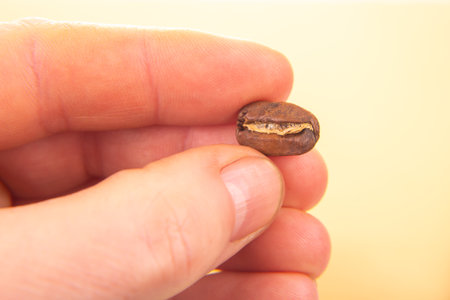 minimalist close-up of a hand holding a single roasted coffee bean, split to show its inner texture, set against a soft beige background. Ideal for coffee and simplicity themesの写真素材