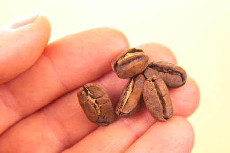 natural close-up of a hand with a split roasted coffee bean, set against a soft beige background. Highlights the organic beauty of coffee, ideal for agriculture or natural food themes.の写真素材