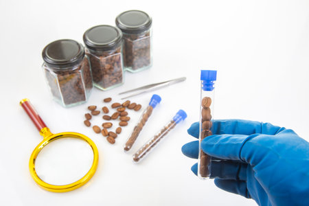 A research scene showcases coffee beans in test tubes, held by a gloved hand, with jars, scattered beans, and lab tools on a white surface, emphasizing precision and studyの写真素材