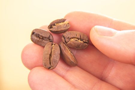 natural close-up of a hand with a split roasted coffee bean, set against a soft beige background. Highlights the organic beauty of coffee, ideal for agriculture or natural food themes.の写真素材