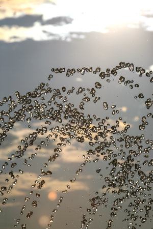 silhouettes of drops falling water fountain against the backdrop of the setting sunの写真素材