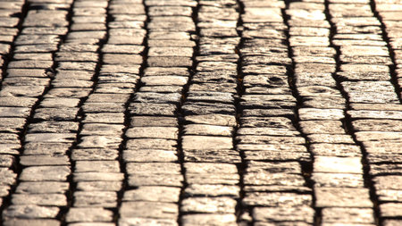 pavement close up in the sunlight. background texture of street stone