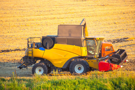 Large yellow harvesting machine operates in a golden field, collecting crops during sunset. An...