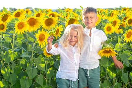 Two children stand joyfully amidst a vibrant sunflower field, surrounded by tall, bright blooms. The warm sunlight enhances their smiles as they share a playful moment, embodying summer fun.の写真素材