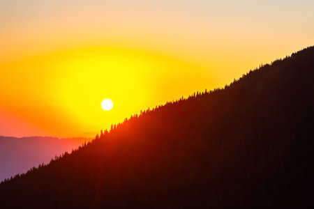 The sun rises over a mountain range, casting a warm glow on the horizon. Silhouettes of tall pine trees create a striking contrast against the brightening sky, signaling the start of a new day.の写真素材