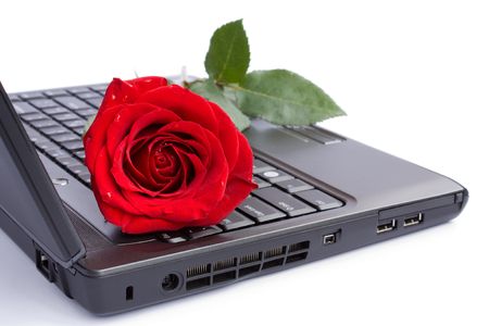 Rose over laptopの写真素材