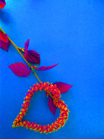 birch disbanded earrings in the form of a heartの写真素材