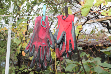 garden gloves, 2 pairs, after washing, hang on a rope, clothespins, black-red, green leaves