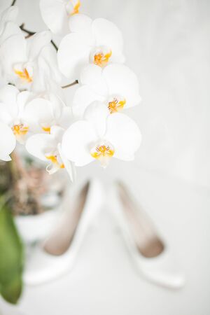 Wedding still life - Bridal bride's shoesの写真素材