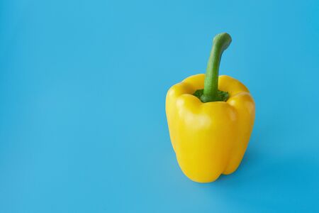Yellow pepper on blue backgroundの写真素材