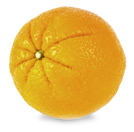 Large sweet juicy fresh orangeの写真素材
