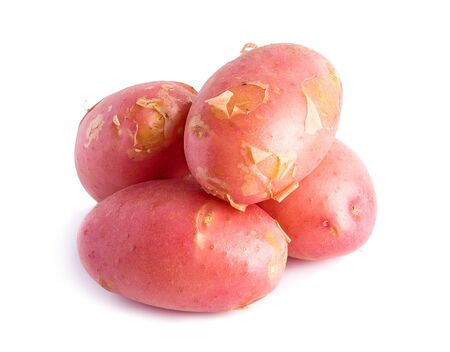 Fresh harvest of red potatoes on white backgroundの写真素材