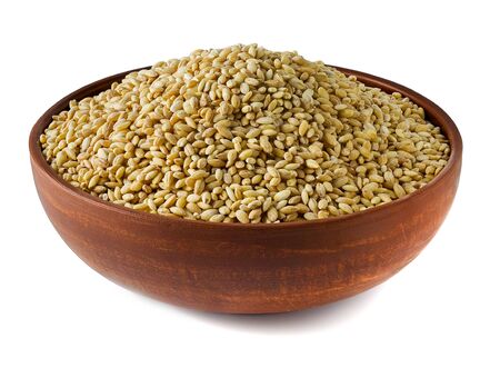 Attractive clay plate in which the grain is placed to prepare a variety of productsの写真素材