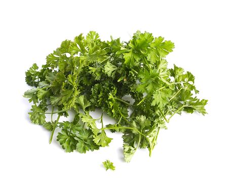 A handful of fresh parsley harvest on a white backgroundの写真素材