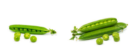 Green peas isolated on the white backgroundの写真素材