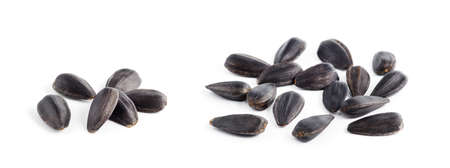Sunflower seeds isolated on white background close upの写真素材
