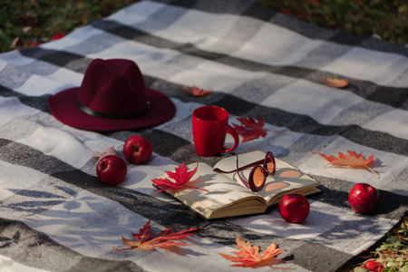 Autumn warm days. Indian summer. Picnic in the garden - blanket and pillows of gray, burgundy and...