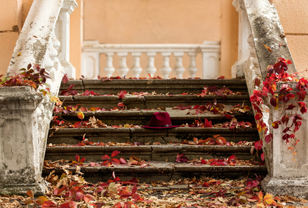 Autumn leaf fall. Red and yellow leaves on the destroyed old stone steps burgundy (marsala color) hat. Blur effect.の写真素材