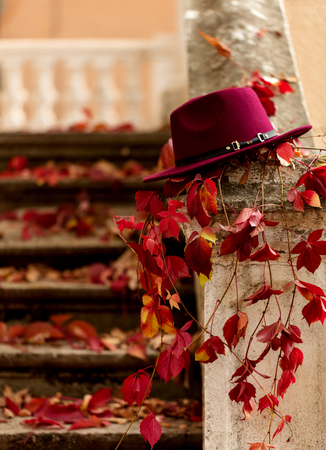 Autumn leaf fall. Red and yellow leaves on the destroyed old stone steps burgundy (marsala color) hat. Blur effect.の写真素材