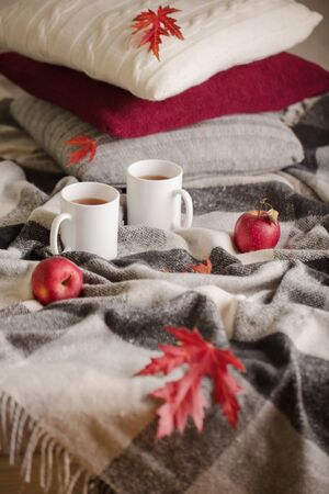 Home comfort and warmth in the autumn time. Gray plaid, knitted pillows, tea and autumn red maple leaves. Selective focus.の写真素材
