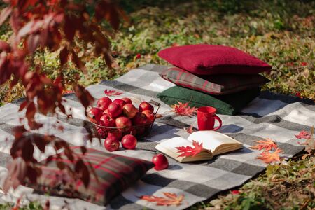 Autumn warm days. Indian summer. Picnic in the garden - blanket and pillows of gray, burgundy and green color on the background of autumn leaves. Selective focus.の写真素材