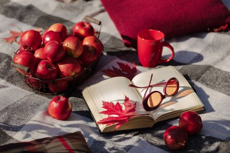Autumn warm days. Indian summer. Picnic in the garden - blanket and pillows of gray, burgundy and green color on the background of autumn leaves. Selective focus.の写真素材