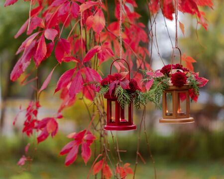 Fall time. Autumn decoration. Candlesticks in the form of lanterns with daisy decor, juniper and autumn red leaves. Selective focus.の写真素材