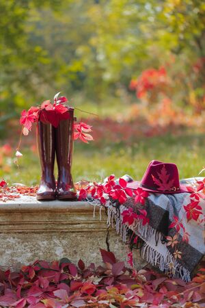 Autumn garden. On the stone bench there is a blanket, pillows, a basket of apples and a burgundy hat with rubber boots. Selective focus.の写真素材