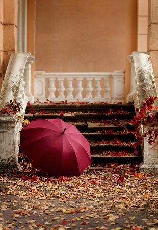 Autumn leaf fall. Red and yellow leaves on the destroyed old stone steps burgundy (marsala color) umbrella. Blur effect.の写真素材