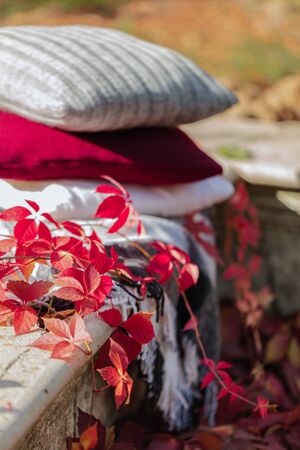Autumn garden. On the stone bench there is a blanket, pillows, a basket of apples and a burgundy hat with rubber boots. Selective focus.の写真素材